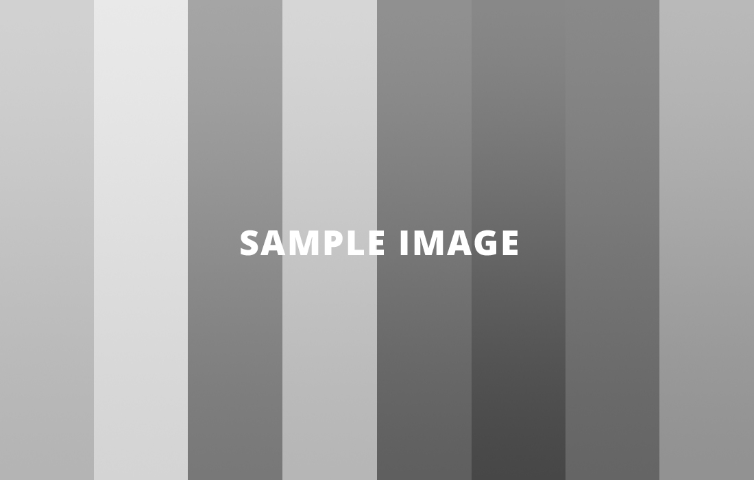 sample-image-1100x700
